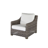 Avallon Lounge Chair