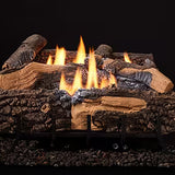 Vesper Outdoor Gas Vent Free