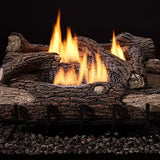 Vesper Outdoor Gas Vent Free