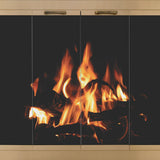 Original Fireplace Glass Door